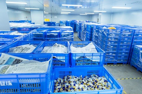 Home 31 home factory img 009